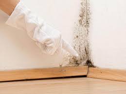 Mold Remediation for Vacation Homes in Murphy, TX